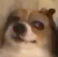 加兰首秀创快船队史纪录 哈登交易后骑士战绩飙